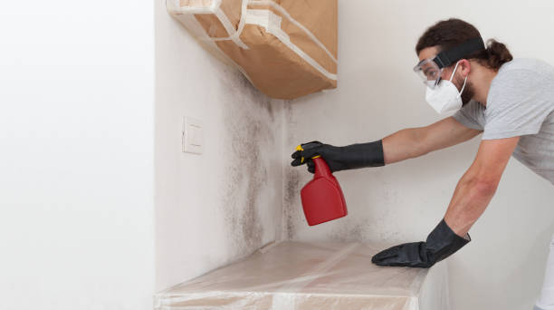Professional Crawl Space Mold Removal technician working in Belle Mead, NJ