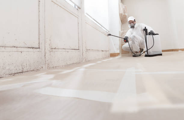 24/7 Emergency Crawl Space Mold Removal experts in Belle Mead, NJ
