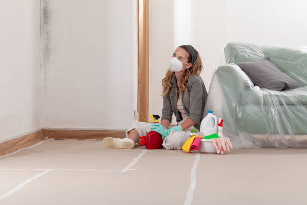 Trusted Crawl Space Mold Removal service in Belle Mead, NJ - WQB Mold Removal